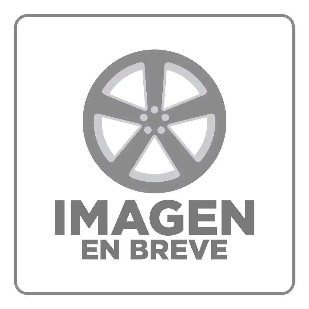 LLANTA DURATURN 255/30R24 XL MOZZO STX 97W